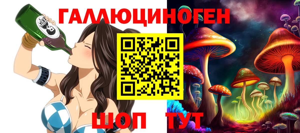 Брянск  Псилоцибиновые грибы GOLDEN TEACHER  Вход с VPN  сколько стоит  Галлюциногенные грибы GOLDEN TEACHER 