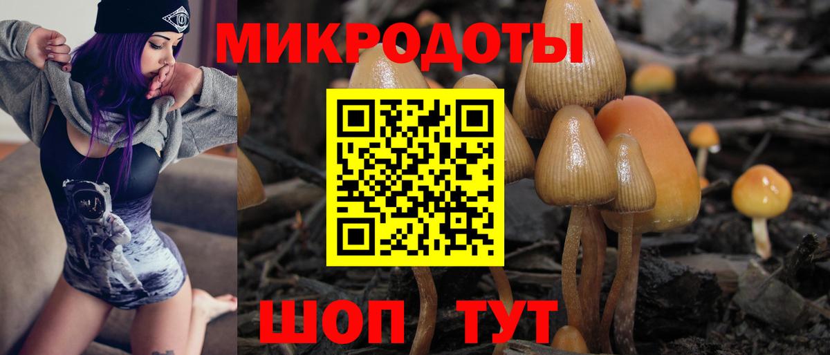 Псилоцибиновые грибы прущие грибы Брянск
